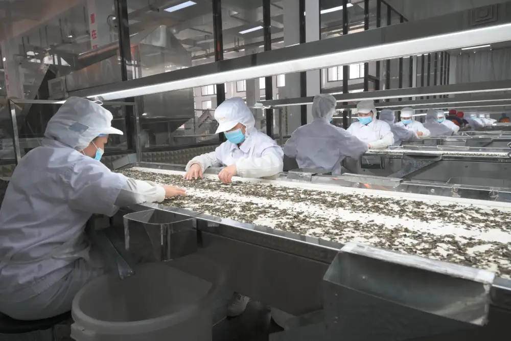 Air shower entry serving a hygienic tea production workshop