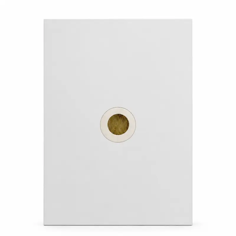 Magnesium oxide rock wool cleanroom panel