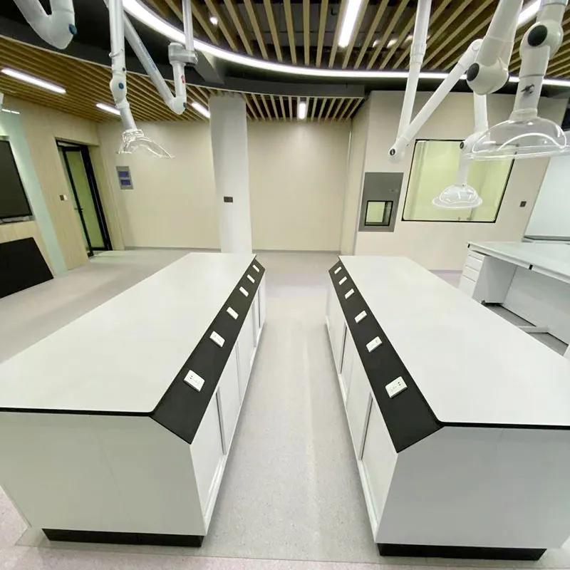 Steel Chemistry Lab Furniture
